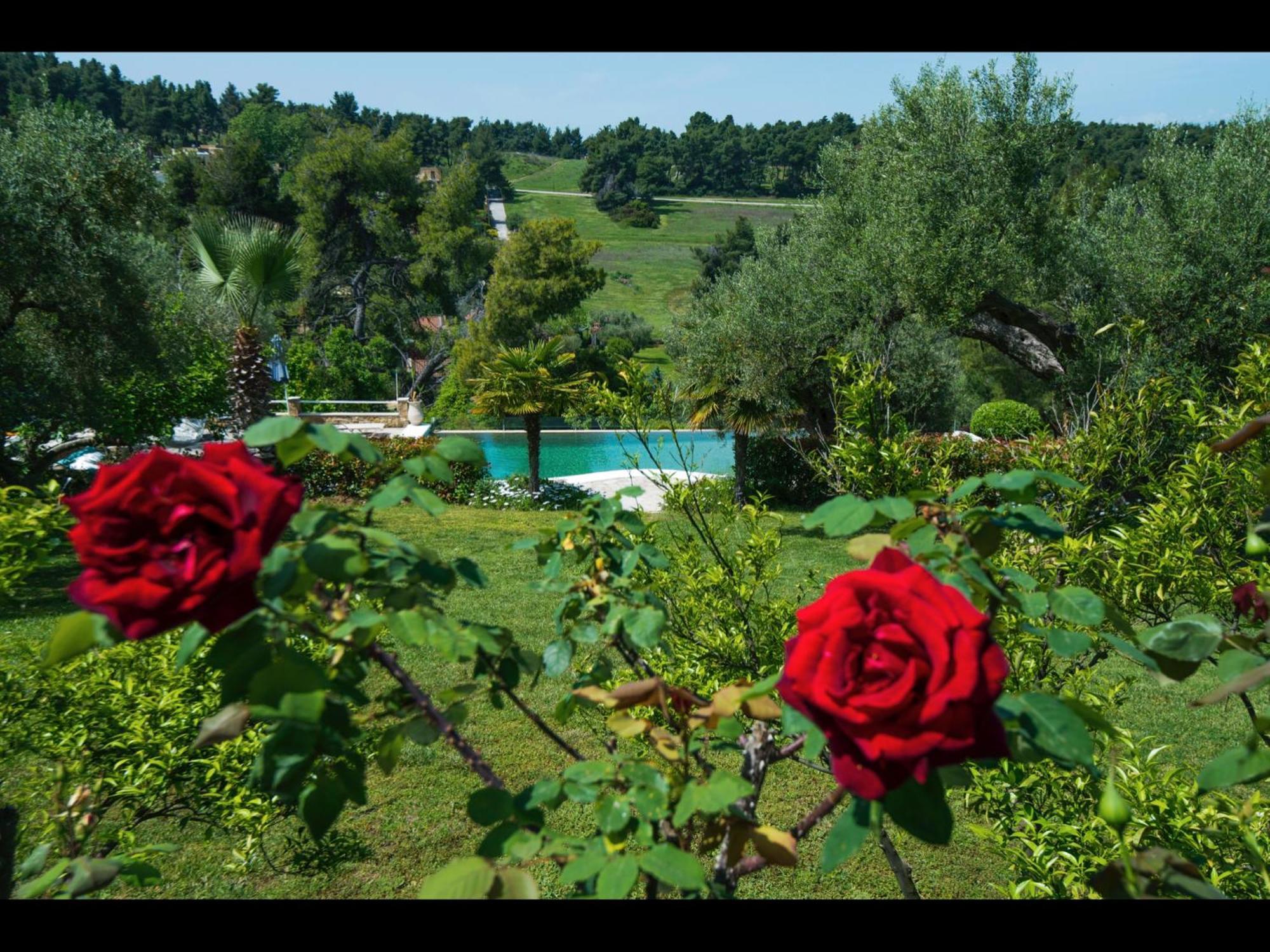 Sanidiamonds Apart otel Sani  Dış mekan fotoğraf